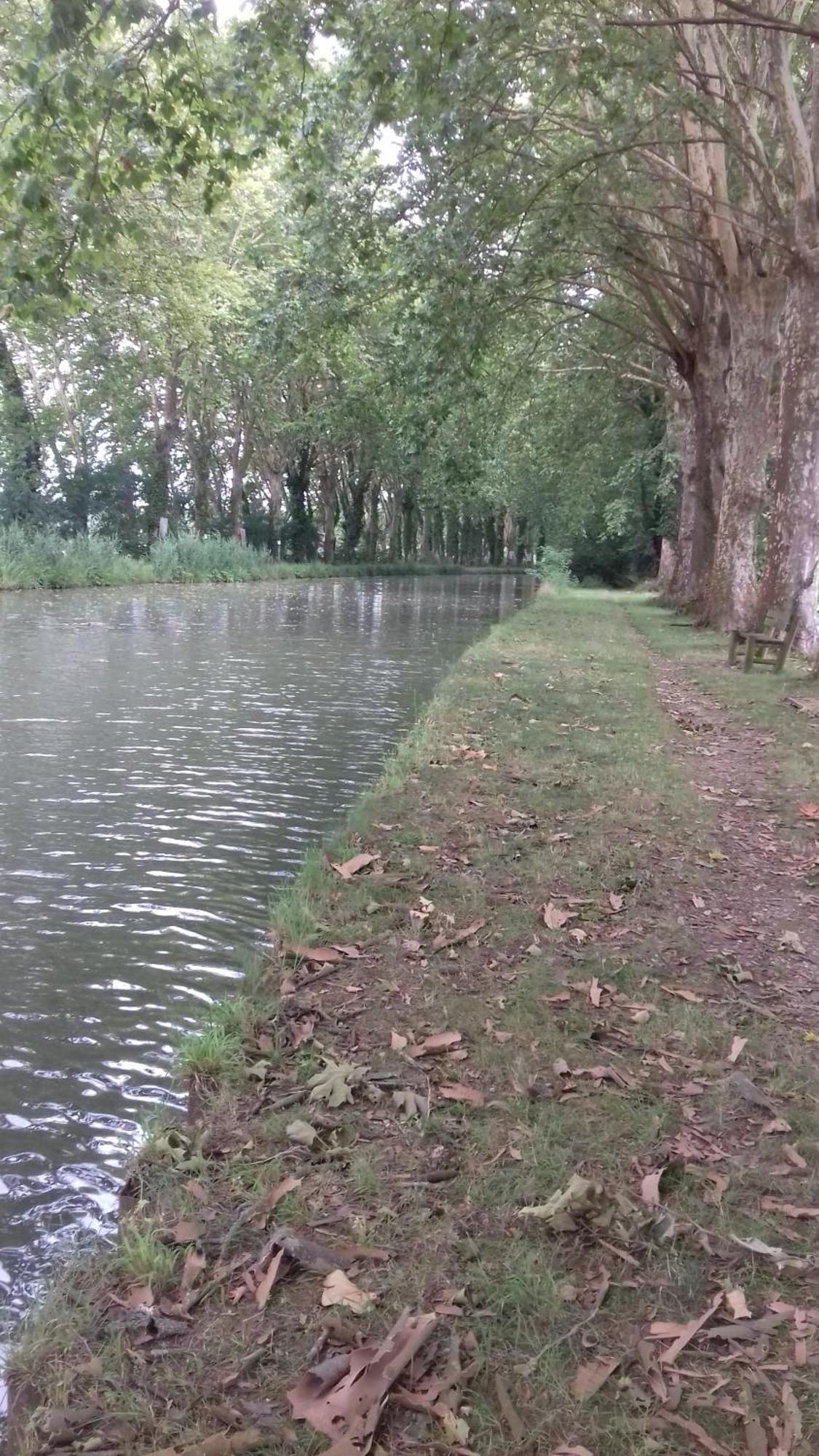Le Studio De La Casa Fourquaise Lägenhet Fourques-sur-Garonne Exteriör bild